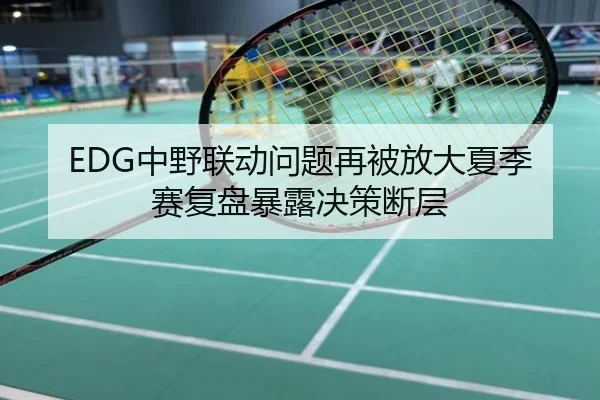 EDG中野联动问题再被放大夏季赛复盘暴露决策断层